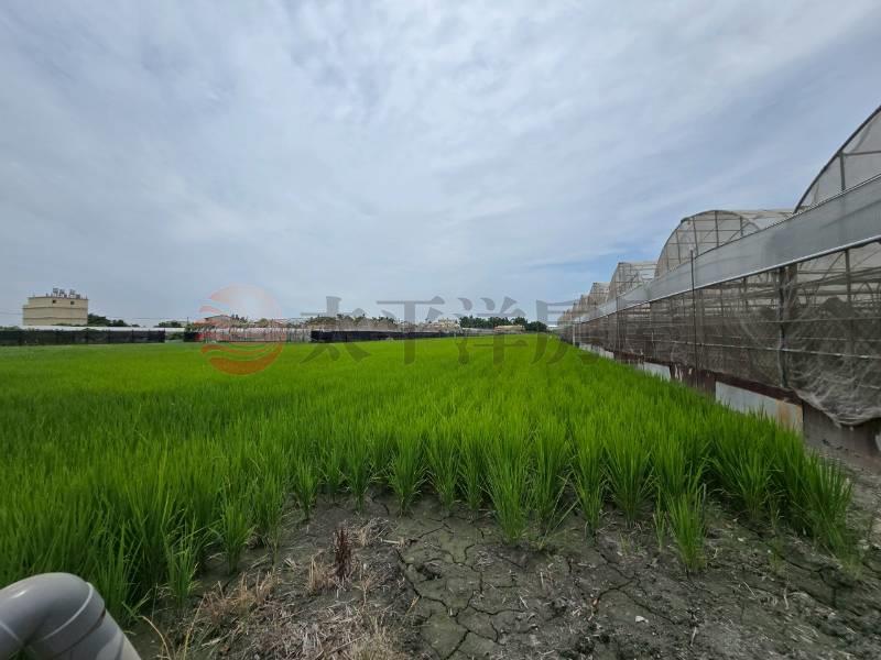 大村新興段優質田地(二)房屋室內格局與周邊環境