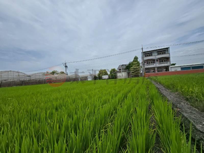 大村新興段優質田地(二)房屋室內格局與周邊環境