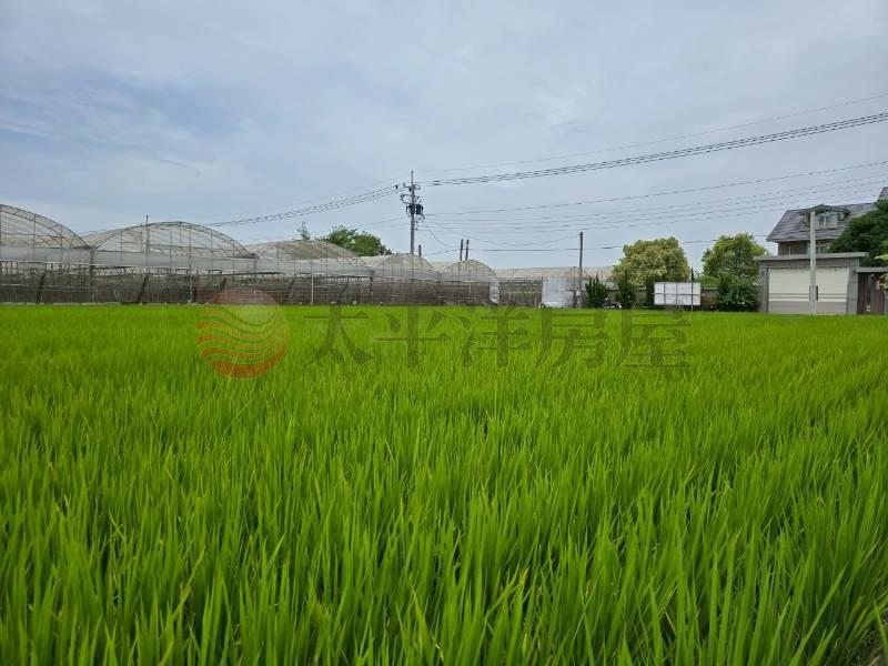 大村新興段優質田地(二)