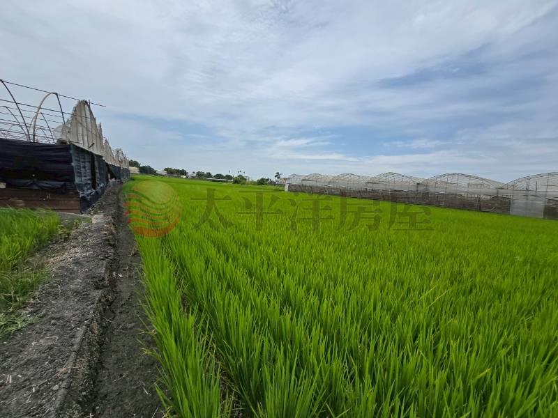 大村新興段優質田地(二)房屋室內格局與周邊環境