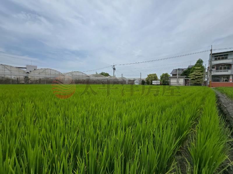 大村新興段優質田地(二)房屋室內格局與周邊環境