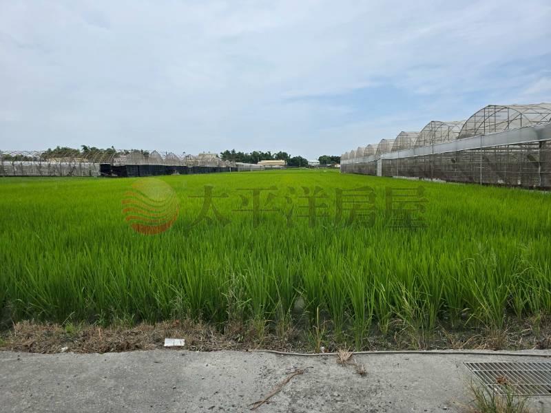 大村新興段優質田地(二)房屋室內格局與周邊環境