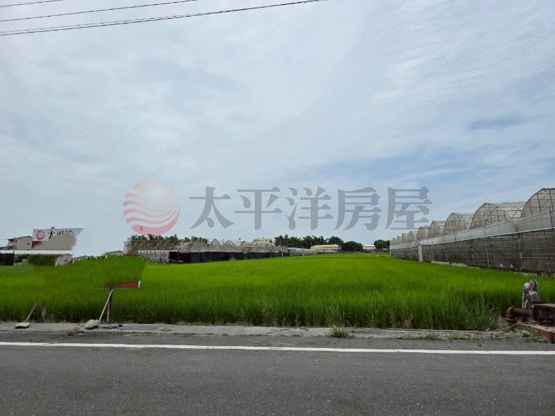 大村新興段優質田地(二)房屋室內格局與周邊環境