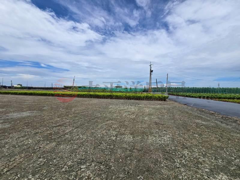 永靖福中段3.7分方正農地房屋室內格局與周邊環境