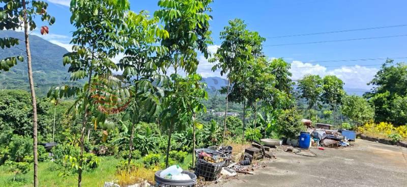 中寮秘境景觀農莊房屋室內格局與周邊環境