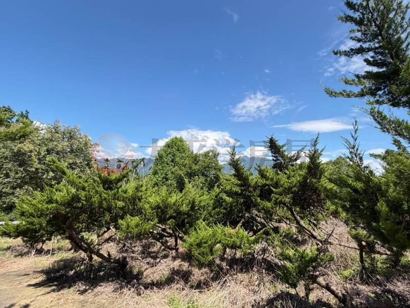 中寮秘境景觀農莊房屋室內格局與周邊環境