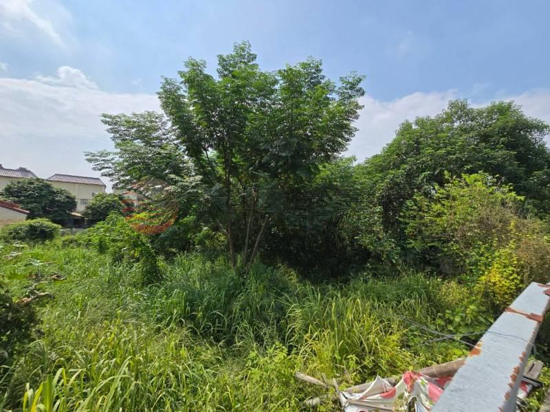浮圳路旁大面寬田地房屋室內格局與周邊環境