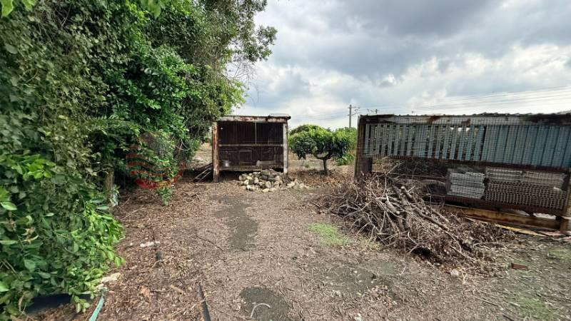 花壇西前巷農地房屋室內格局與周邊環境