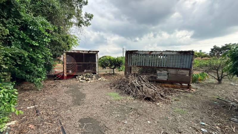 花壇西前巷農地房屋室內格局與周邊環境