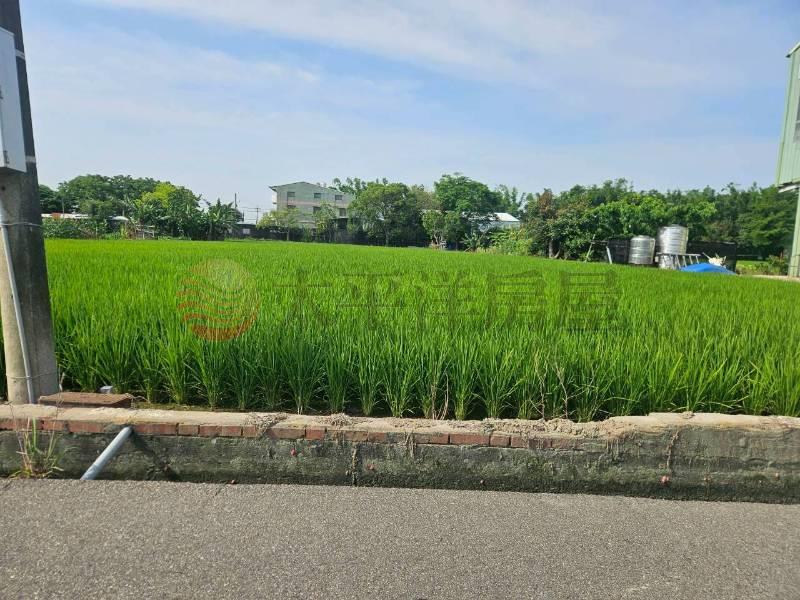 有水有電小田房屋室內格局與周邊環境