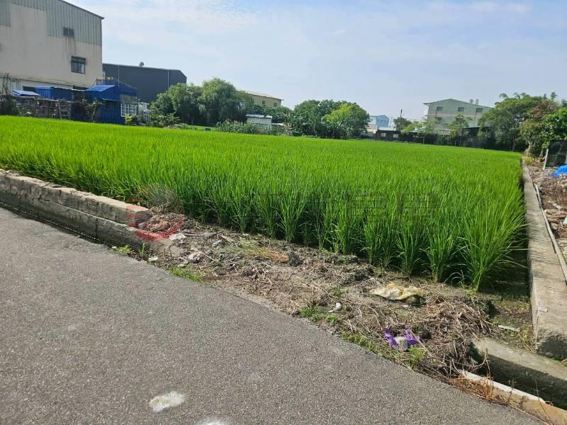 有水有電小田房屋室內格局與周邊環境
