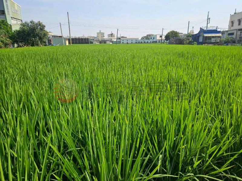 有水有電小田房屋室內格局與周邊環境