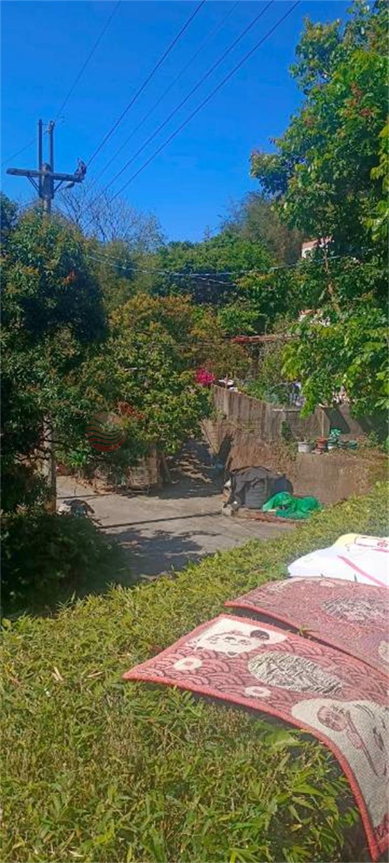 南陽三合院房屋室內格局與周邊環境