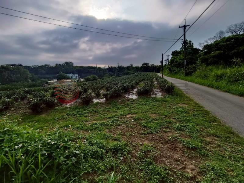 苗栗聯大田+丙建房屋室內格局與周邊環境