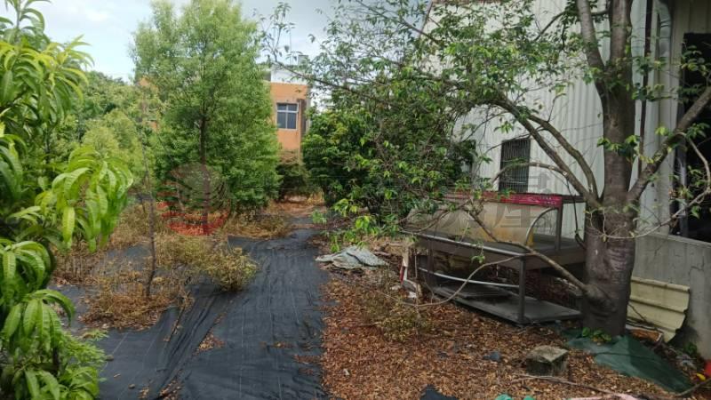 永靖正中山路旁農舍+12坪甲建房屋室內格局與周邊環境