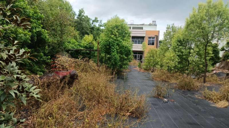 永靖正中山路旁農舍+12坪甲建房屋室內格局與周邊環境