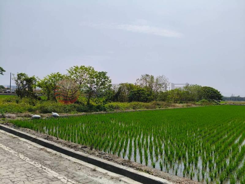 秀水下崙段美田(專約)房屋室內格局與周邊環境