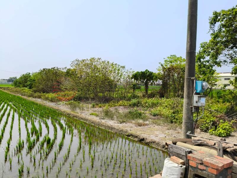 秀水下崙段美田(專約)房屋室內格局與周邊環境