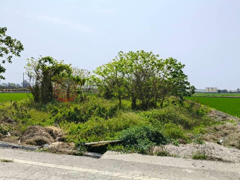 秀水下崙段美田(專約)房屋室內格局與周邊環境