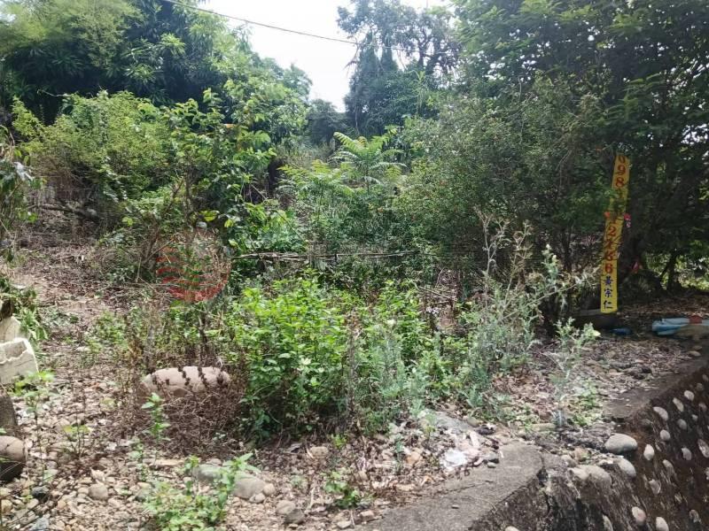湖水櫻花旁建地房屋室內格局與周邊環境