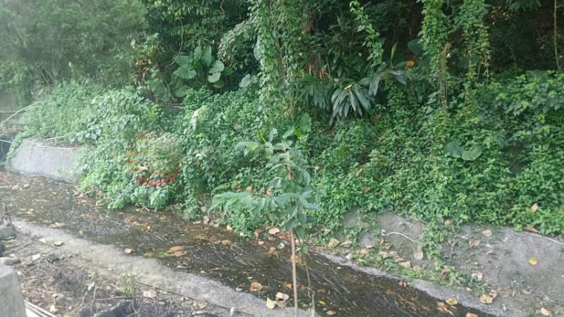 近明湖國小農地A房屋室內格局與周邊環境