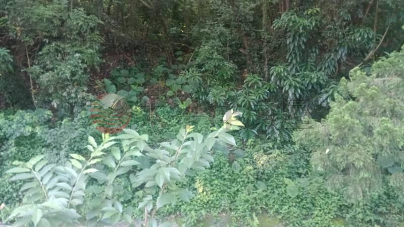 近明湖國小農地A房屋室內格局與周邊環境