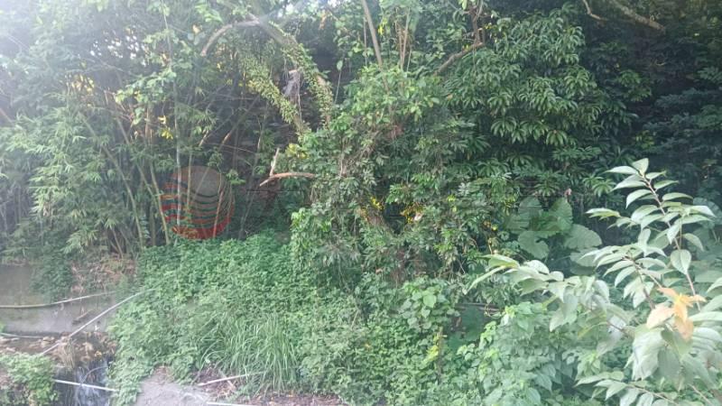 近明湖國小農地A房屋室內格局與周邊環境