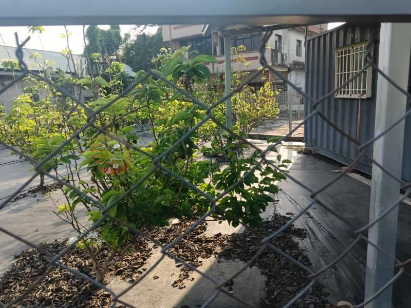 田中東閔路農地房屋室內格局與周邊環境