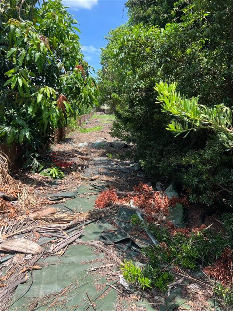 田尾福生巷農地房屋室內格局與周邊環境