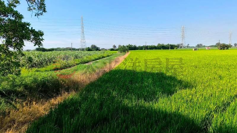 二林正太平路持分田地房屋室內格局與周邊環境