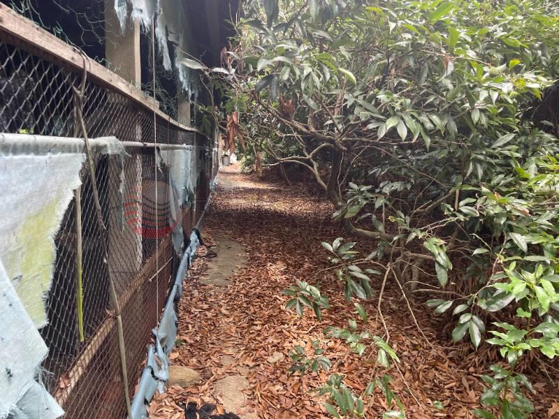 社頭月眉農牧用地房屋室內格局與周邊環境