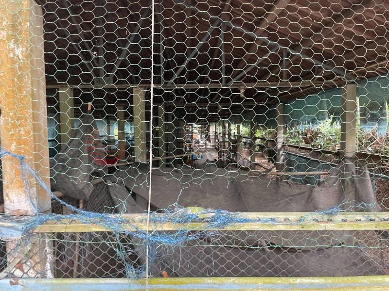社頭月眉農牧用地房屋室內格局與周邊環境
