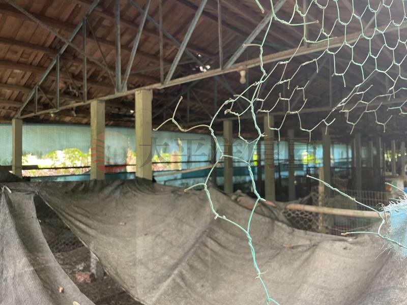 社頭月眉農牧用地房屋室內格局與周邊環境