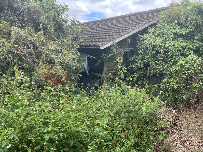 社頭月眉農牧用地房屋室內格局與周邊環境