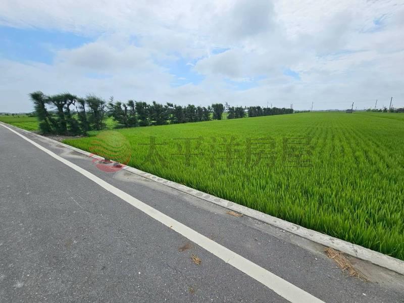 芳苑路上方正美田房屋室內格局與周邊環境