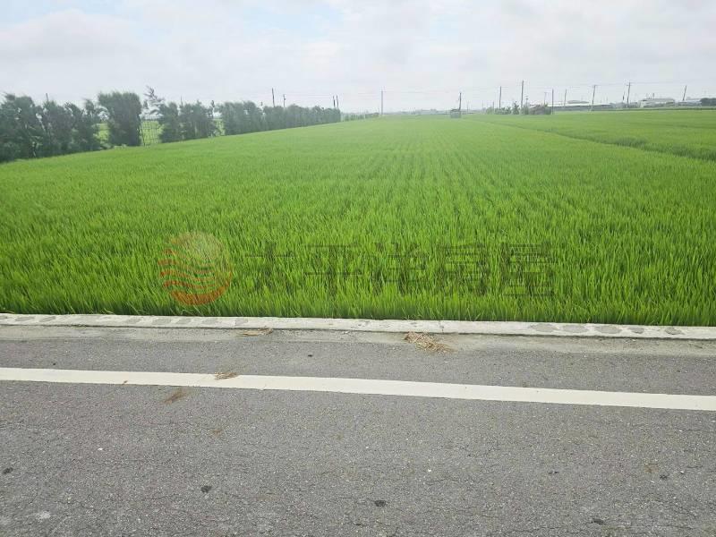 芳苑路上方正美田房屋室內格局與周邊環境