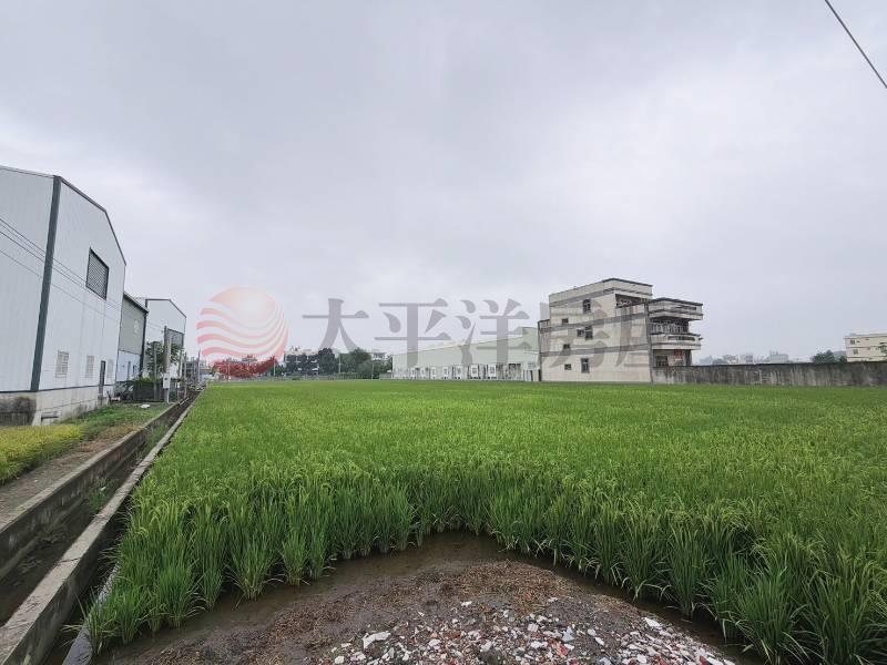 埔鹽彰水路旁朝南美田房屋室內格局與周邊環境
