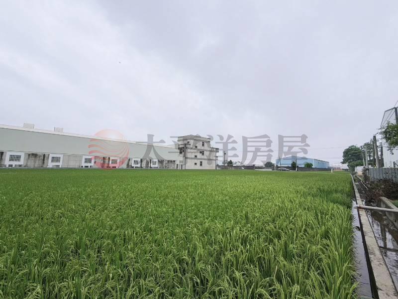 埔鹽彰水路旁朝南美田房屋室內格局與周邊環境