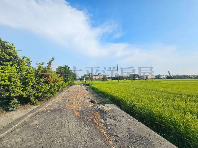 溪湖青宅巷旁田地房屋室內格局與周邊環境
