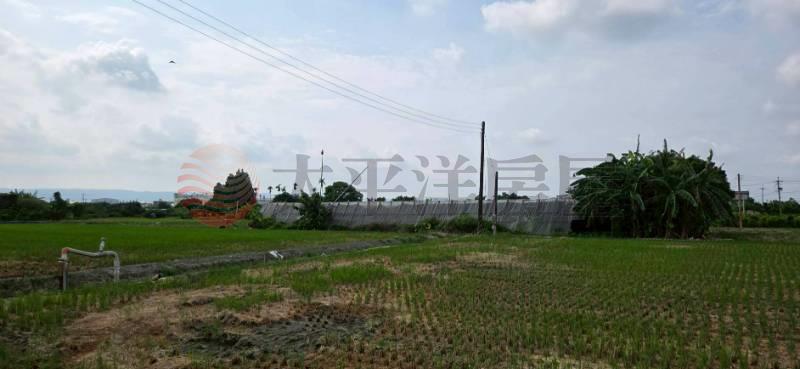 埔心都內旁增值農地房屋室內格局與周邊環境