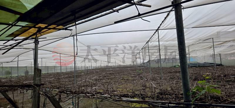 埔心近76交流道增值美田房屋室內格局與周邊環境