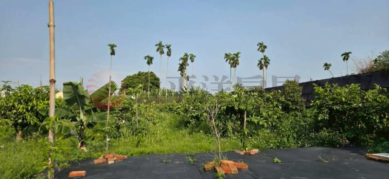 永靖近永福路全新資材室農地房屋室內格局與周邊環境