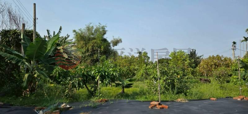 永靖近永福路全新資材室農地房屋室內格局與周邊環境