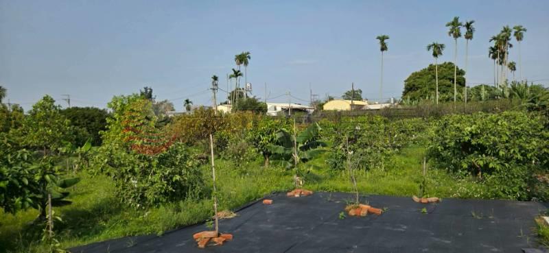 永靖近永福路全新資材室農地房屋室內格局與周邊環境