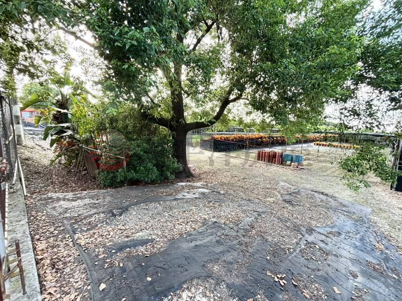 田尾近東彰路持分農地房屋室內格局與周邊環境