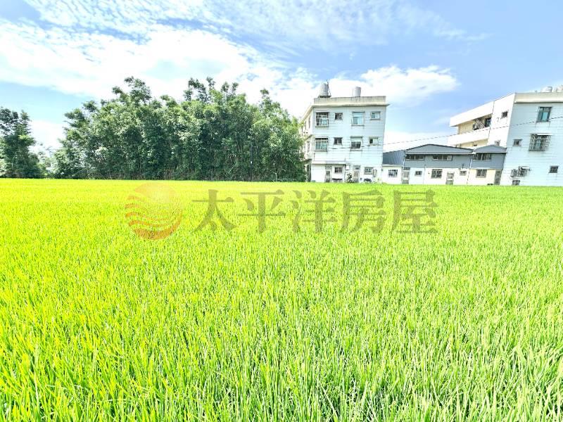 大圳824農地房屋室內格局與周邊環境