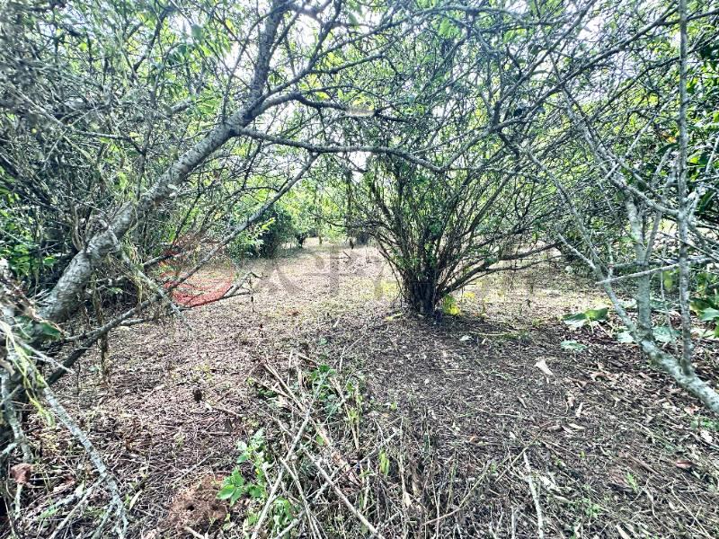 公老坪休閒農地房屋室內格局與周邊環境