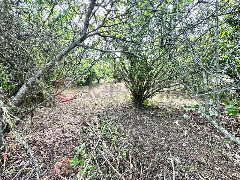 公老坪休閒農地房屋室內格局與周邊環境