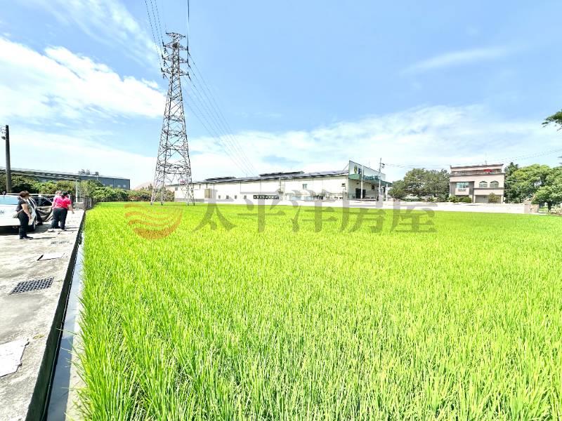 六張農地房屋室內格局與周邊環境