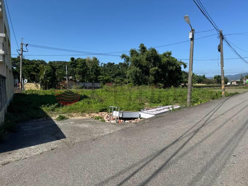 鐵山國小稀有甲建